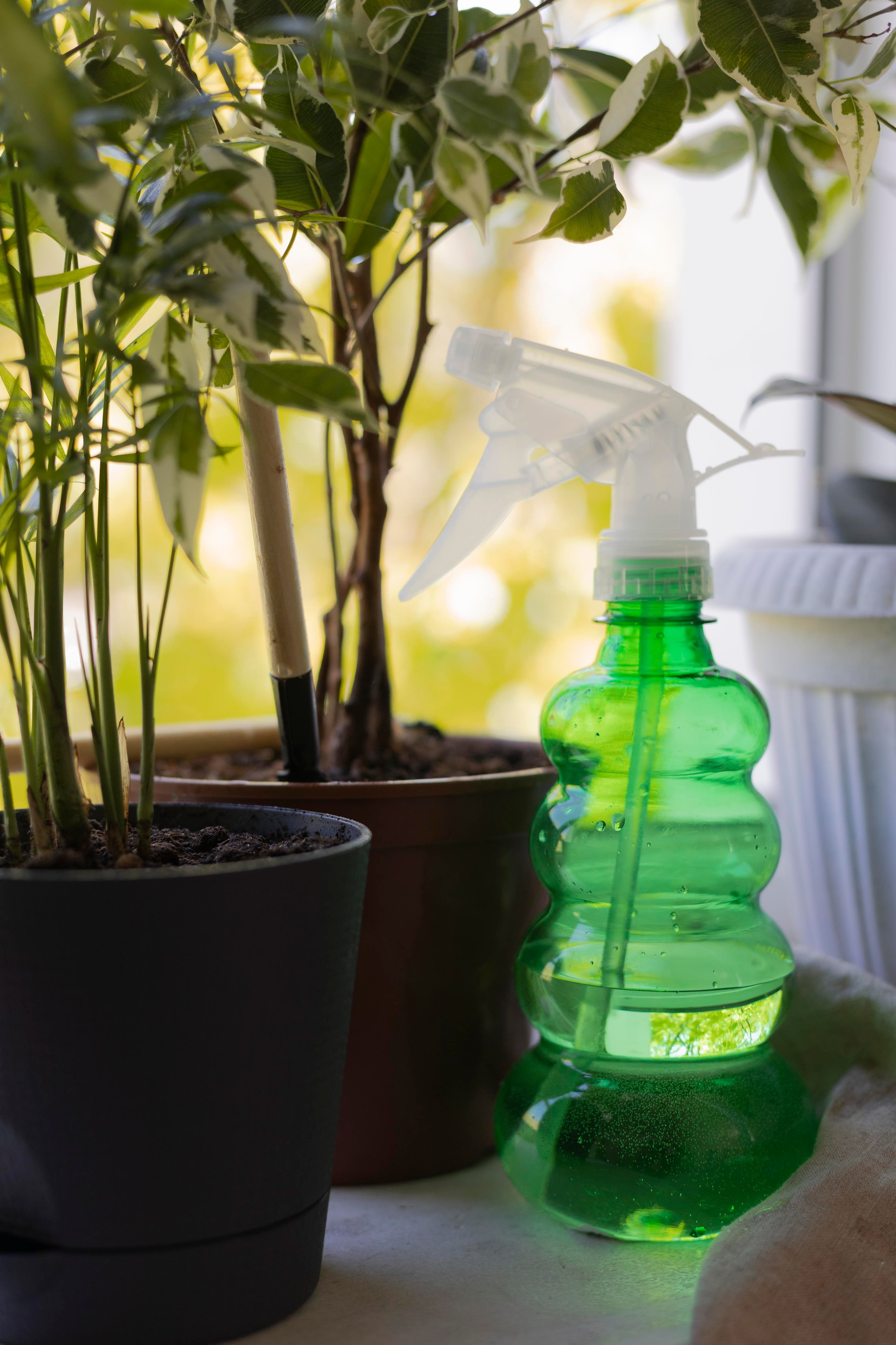 Eco-friendly cleaning products